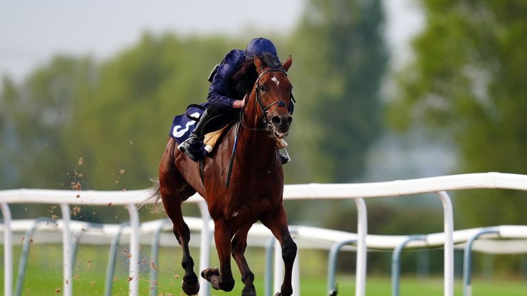 City Of Troy gallops round Southwell as he warms up for the Breeders' Cup